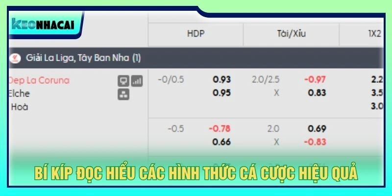 Bí kíp đọc hiểu các hình thức cá cược hiệu quả