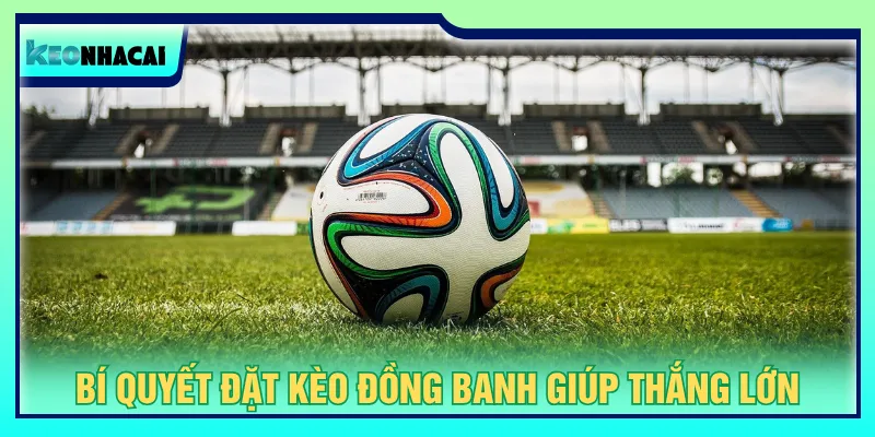 Cập nhật tỷ lệ biến động kèo đồng banh để tránh cược thua lỗ