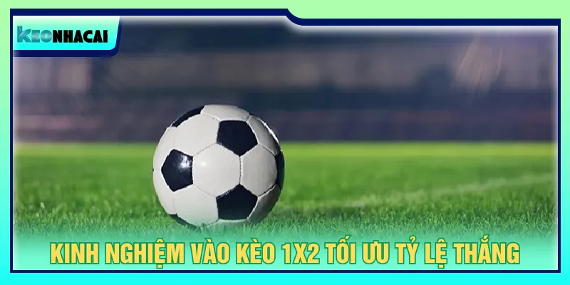 Chiến thuật vào tiền hữu ích nâng cao lựa chọn tối ưu