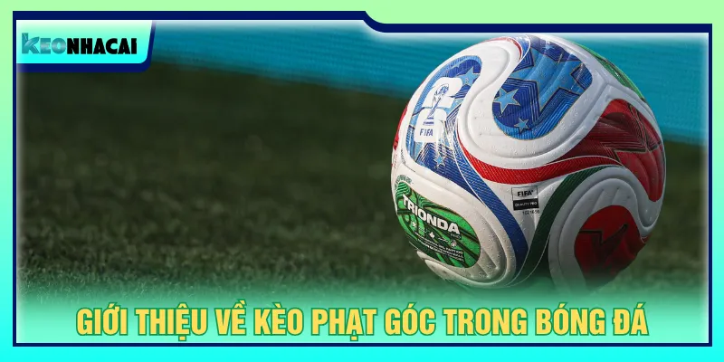 Kèo phạt góc cần dựa theo mốc tỷ lệ Kèo Nhà Cái áp dụng