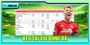 Kèo Tài Xỉu Bóng Đá: Cách Đọc Tỷ Lệ Và Soi Kèo Chuẩn
