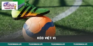 Kèo Việt Vị & Bật Mí Công Thức Phân Tích Cược Hiệu Quả