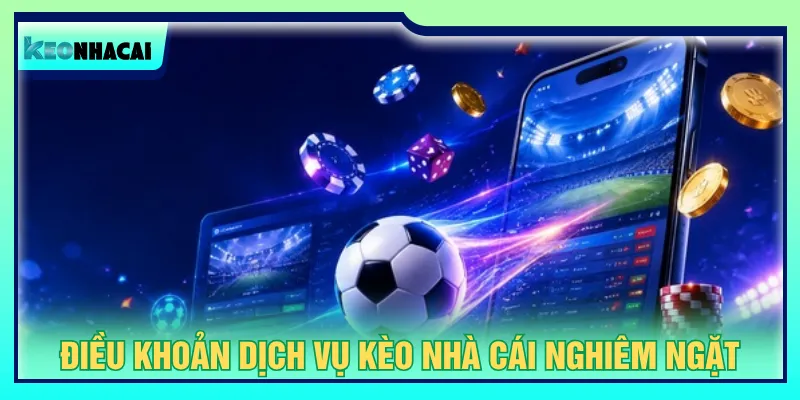 Tìm hiểu chung điều khoản dịch vụ tích hợp trên web